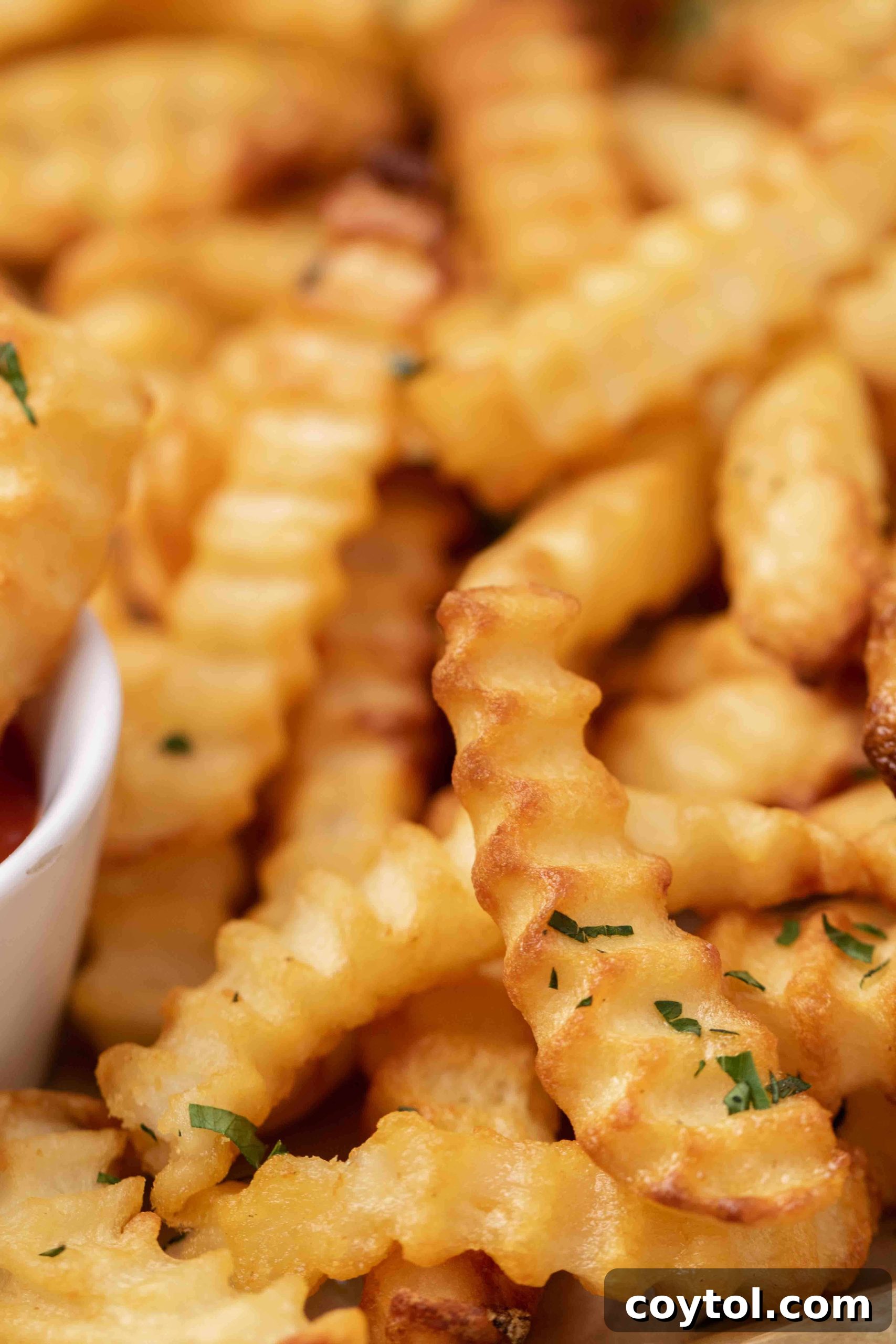 Crispy Air Fryer Fries with Fiery Ketchup 4 Close up of crunchy air fryer frozen crinkle fries ready to be dipped