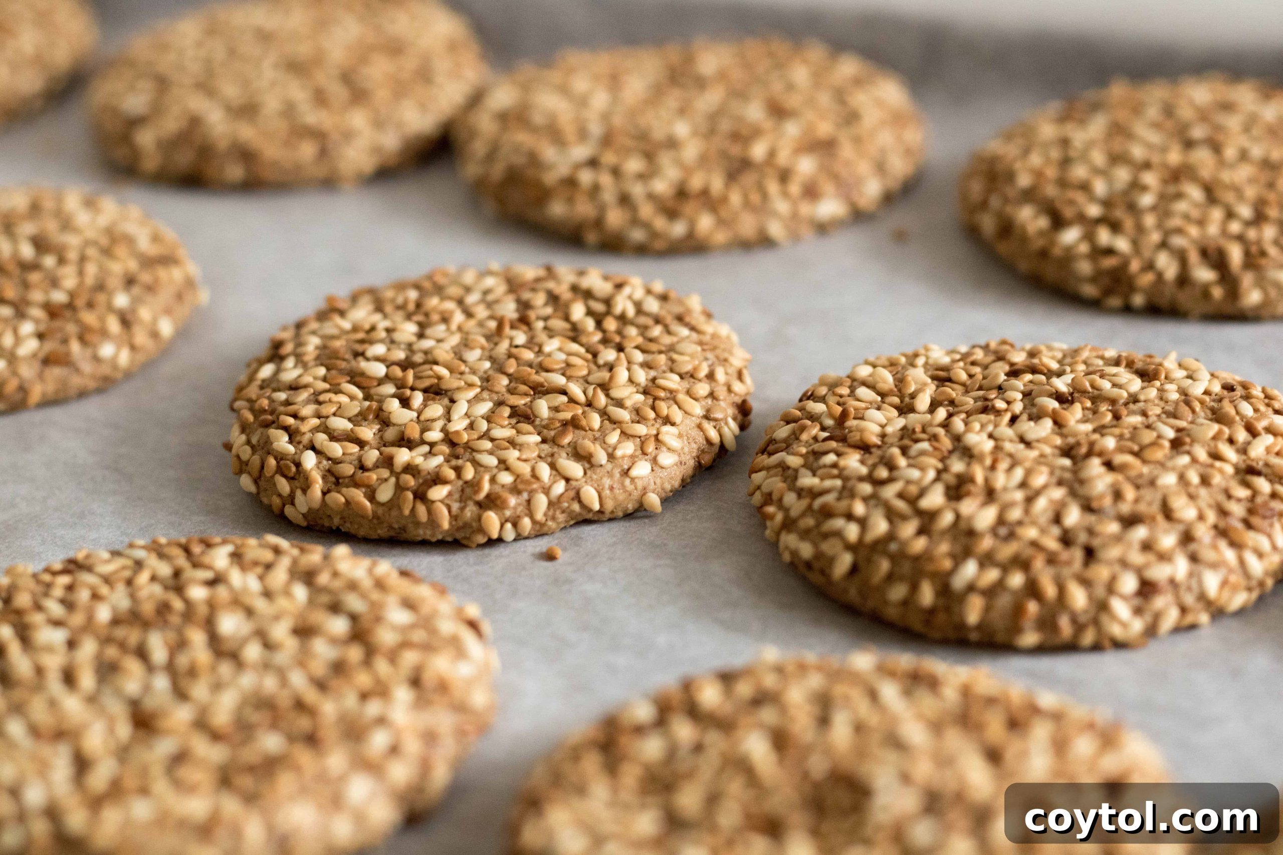 Freshly baked tahini sesame seed cookies cooling on a wire rack after baking.