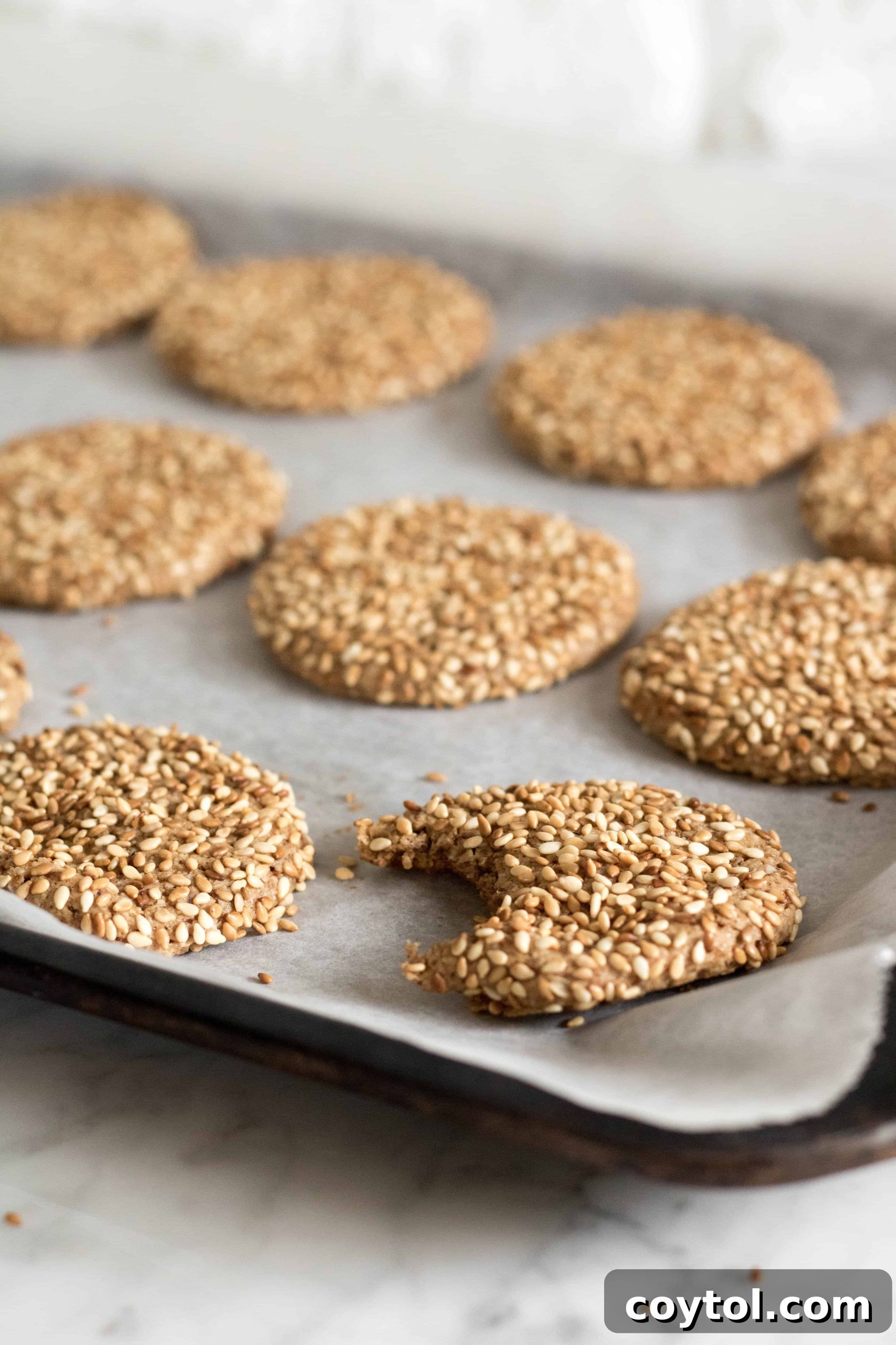 Perfectly golden-brown tahini cookies with a rich sesame crust.
