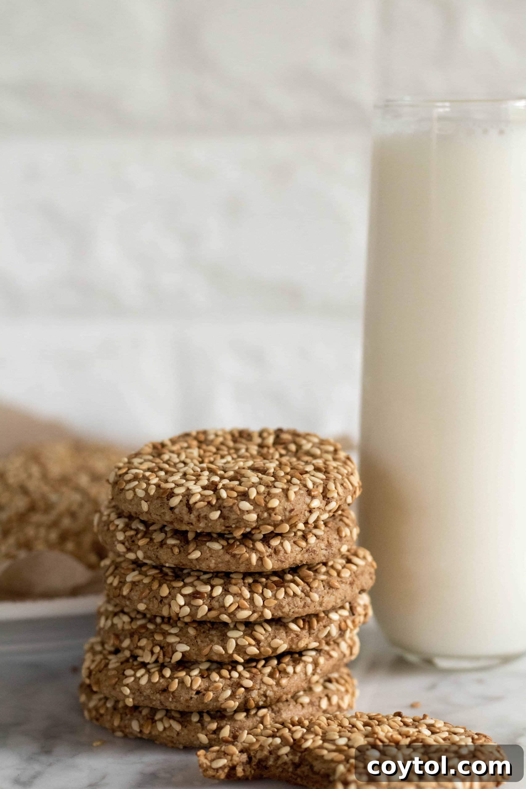 A perfectly baked tahini sesame seed cookie, a healthy and delicious alternative.