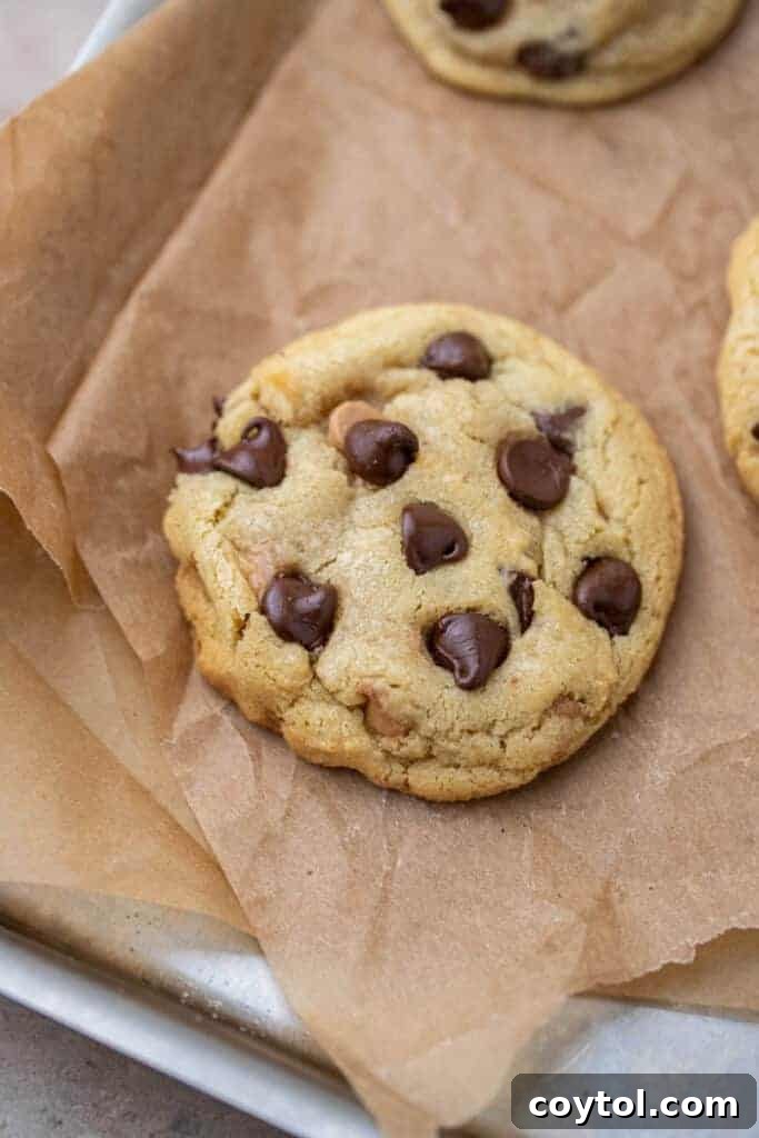 Overhead shot of small batch chocolate chip cookie