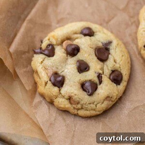 Overhead shot of small batch chocolate chip cookie