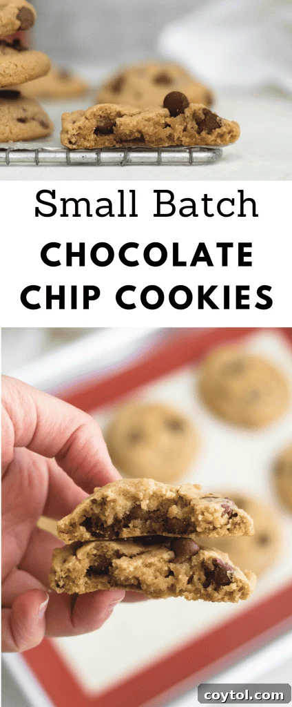 Small batch chocolate chip cookies collage for pinterest