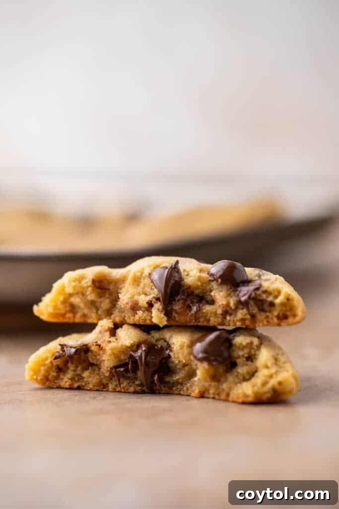Stack of chocolate chip cookies