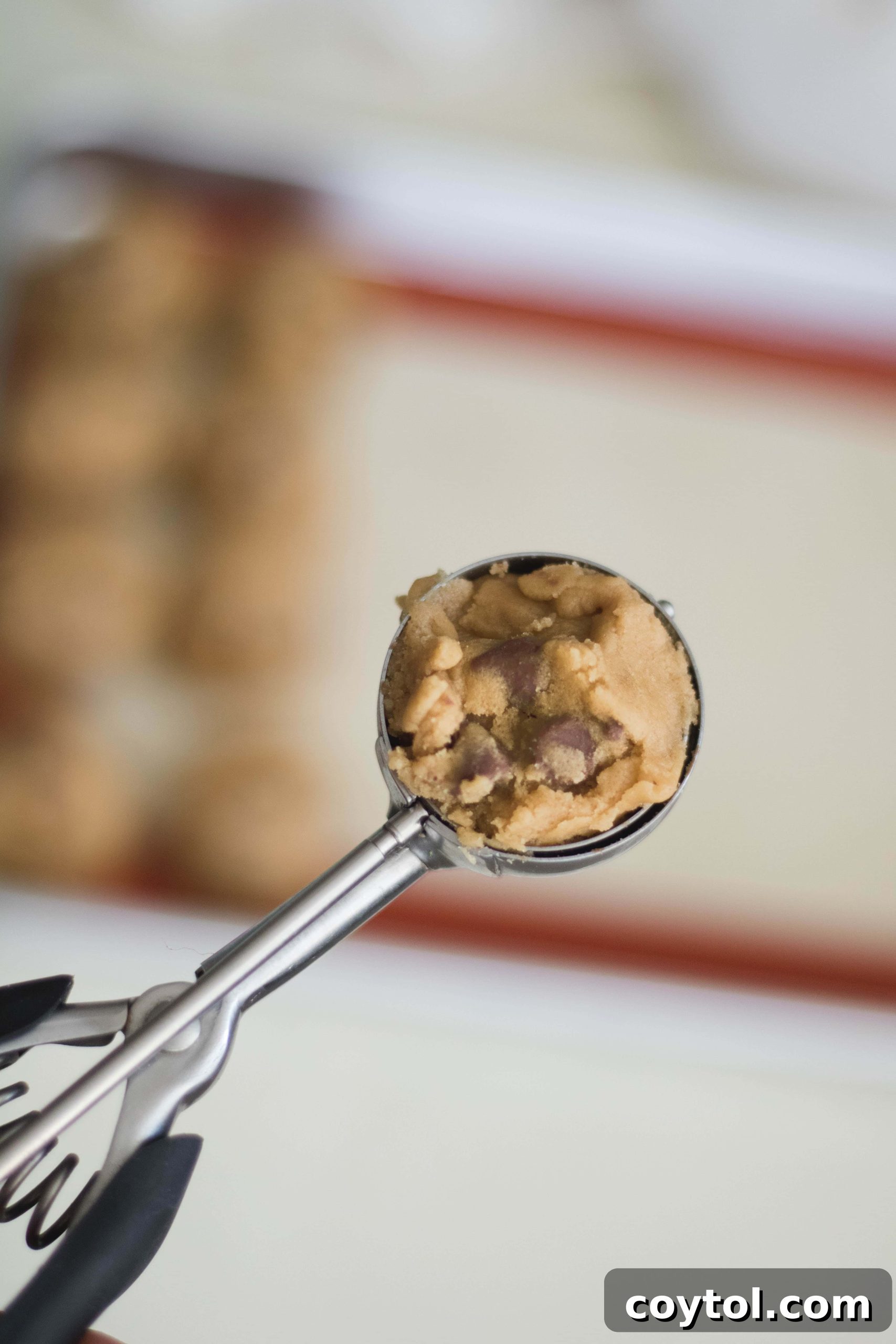 a scoop of the chewy and soft chocolate chip cookies
