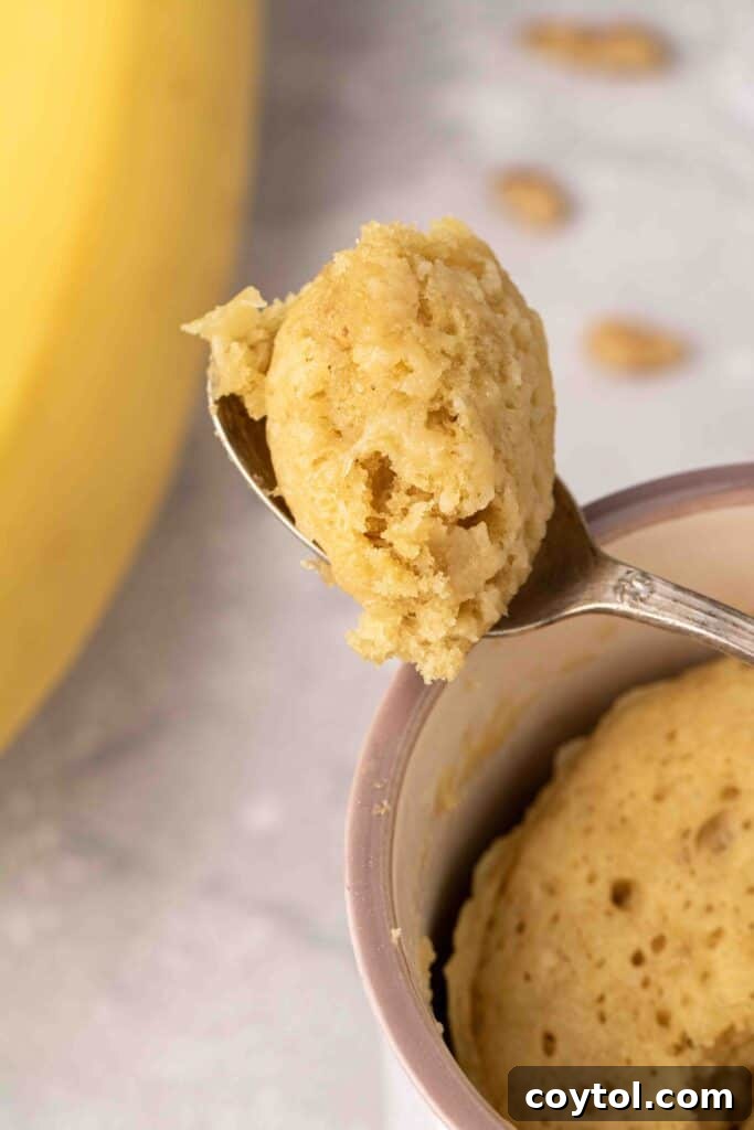 The Ultimate Single-Serve Banana Bread Mug Cake 2 Close up of banana bread mug cake recipe