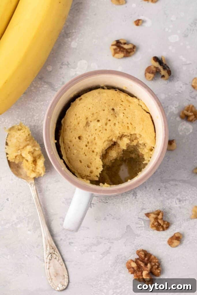 The Ultimate Single-Serve Banana Bread Mug Cake 13 overhead shot of banana mug cake