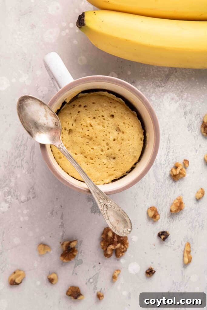 The Ultimate Single-Serve Banana Bread Mug Cake 5 Overhead shot of microwave banana cake