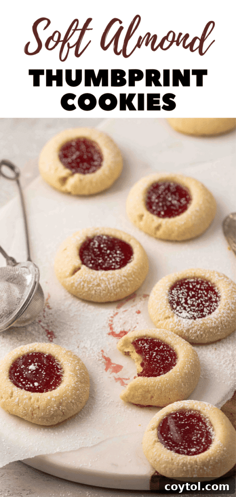Pin image: Variety of colorful jam thumbprint cookies, perfect for a dessert table.