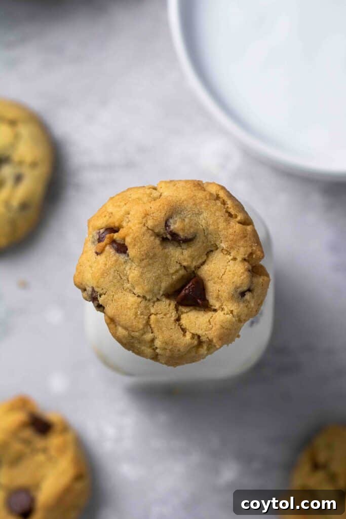 An overhead shot showcasing beautifully baked air fryer chocolate chip cookies, golden and inviting.