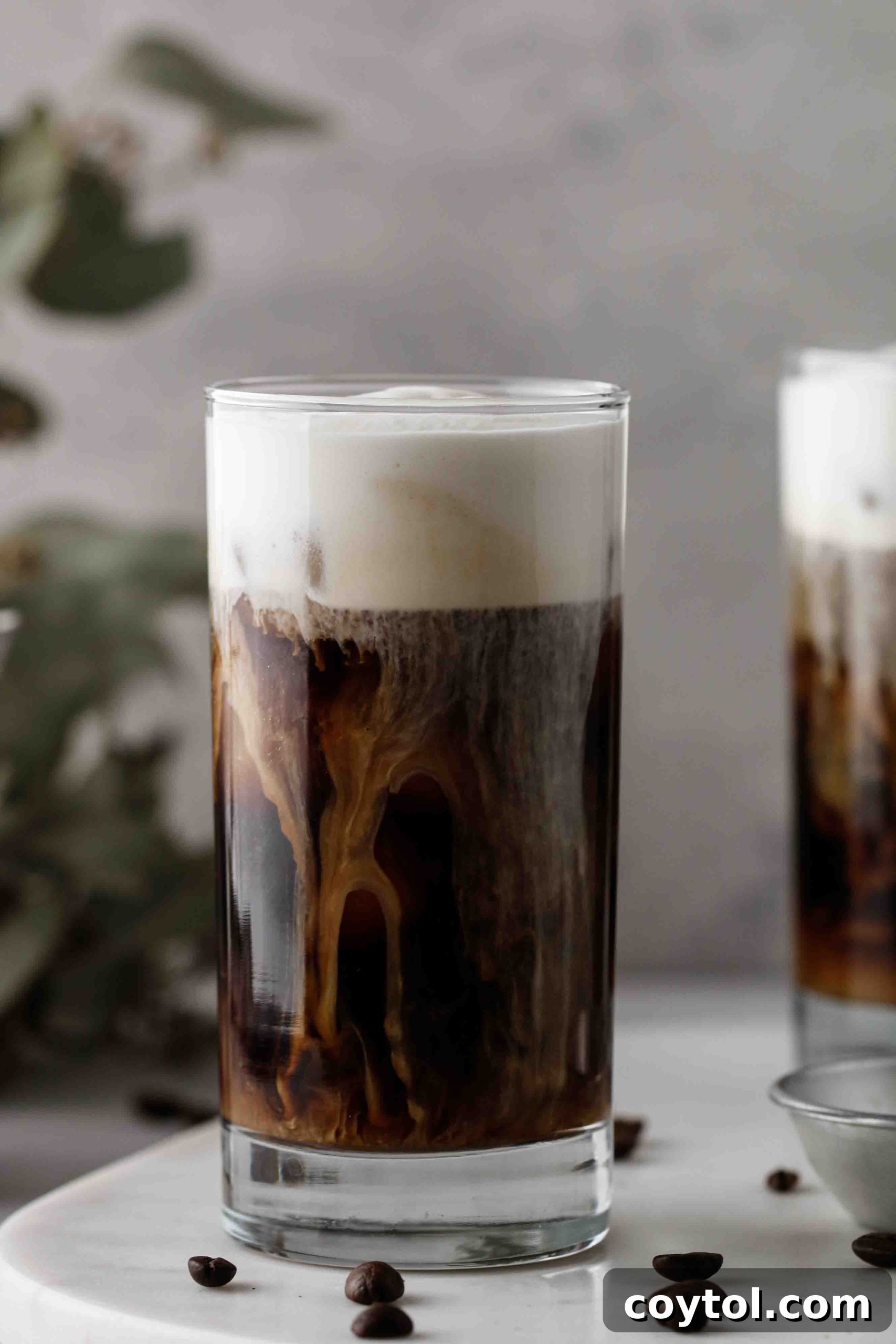 Straight on shot of Starbucks salted cream cold brew cold foam