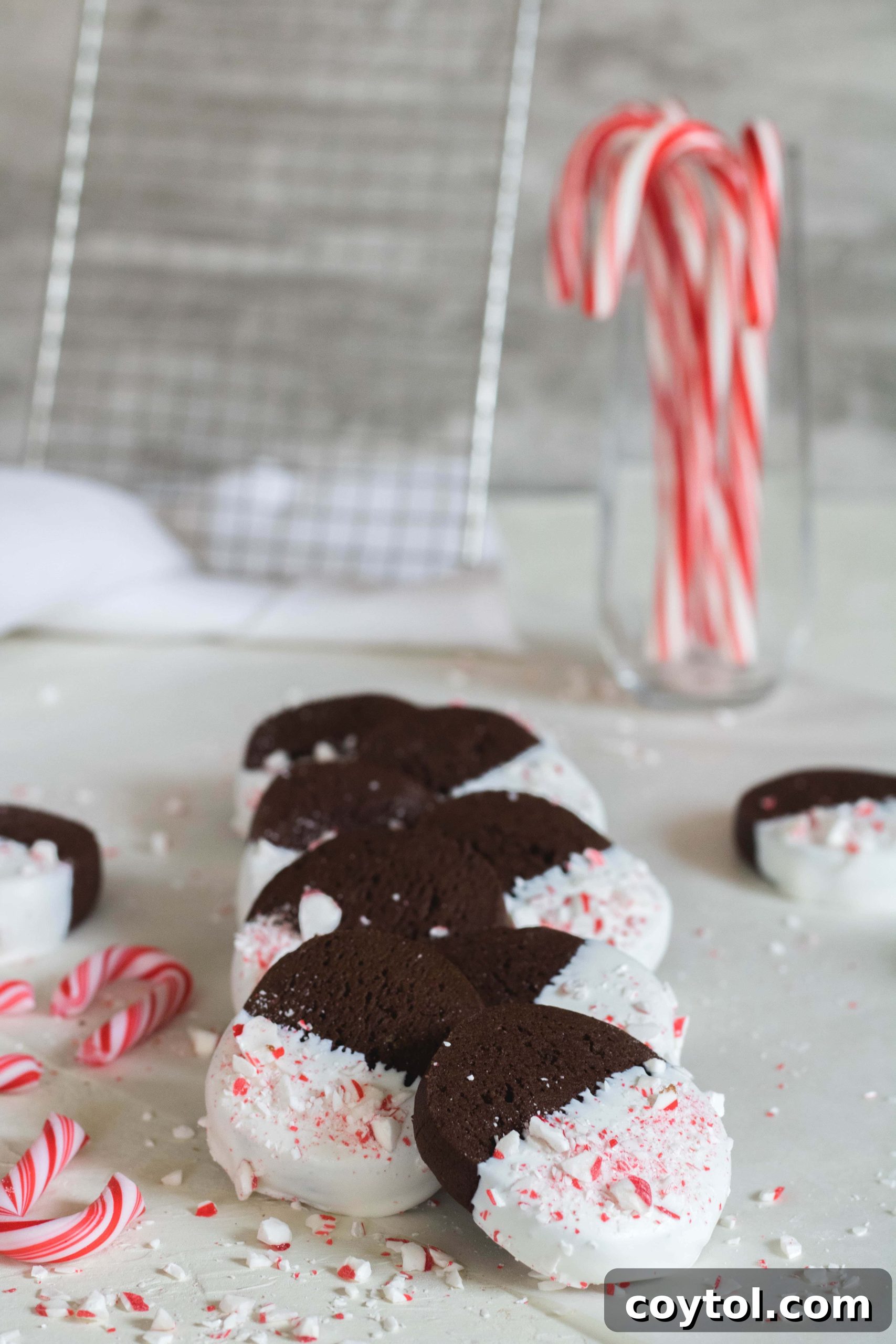 Finished chocolate slice and bake cookies with candy cane pieces