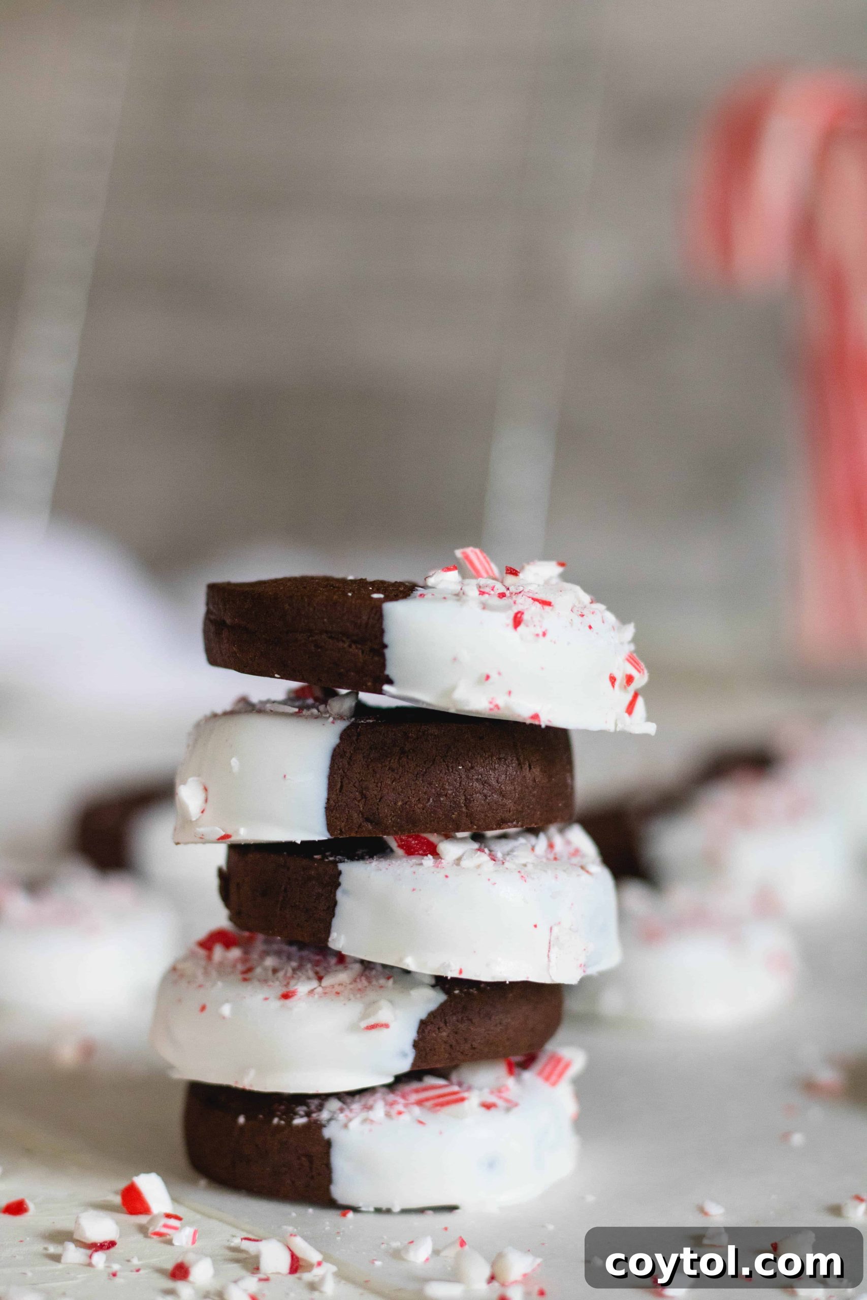 Chocolate peppermint crunch slice and bake cookies arranged on a plate