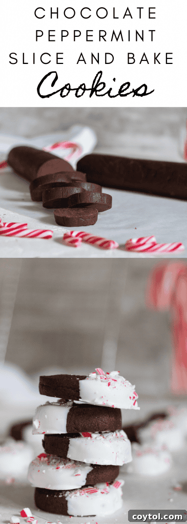 Pin for Chocolate Peppermint Crunch Slice and Bake Cookies