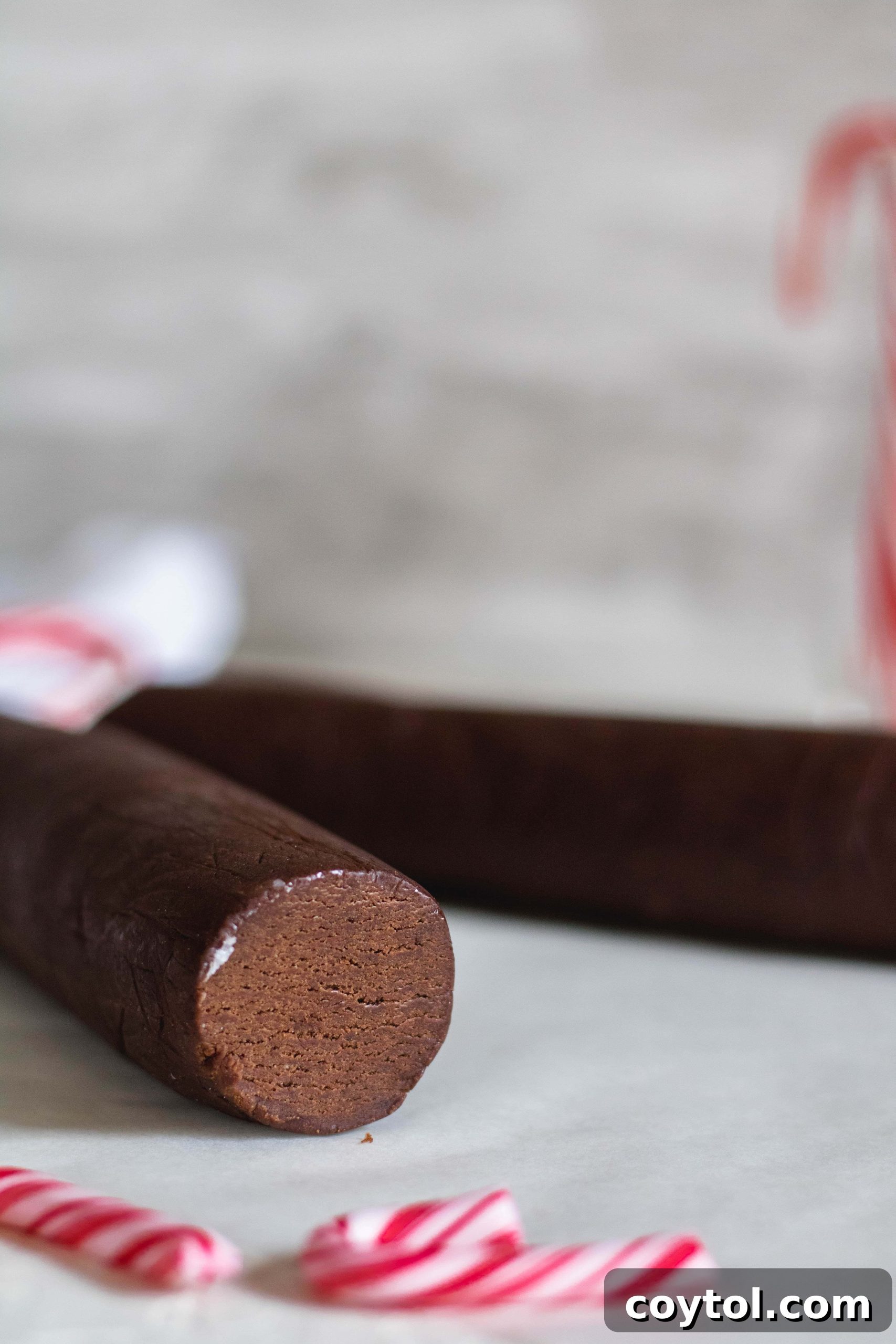 Chilling chocolate peppermint crunch cookie dough logs