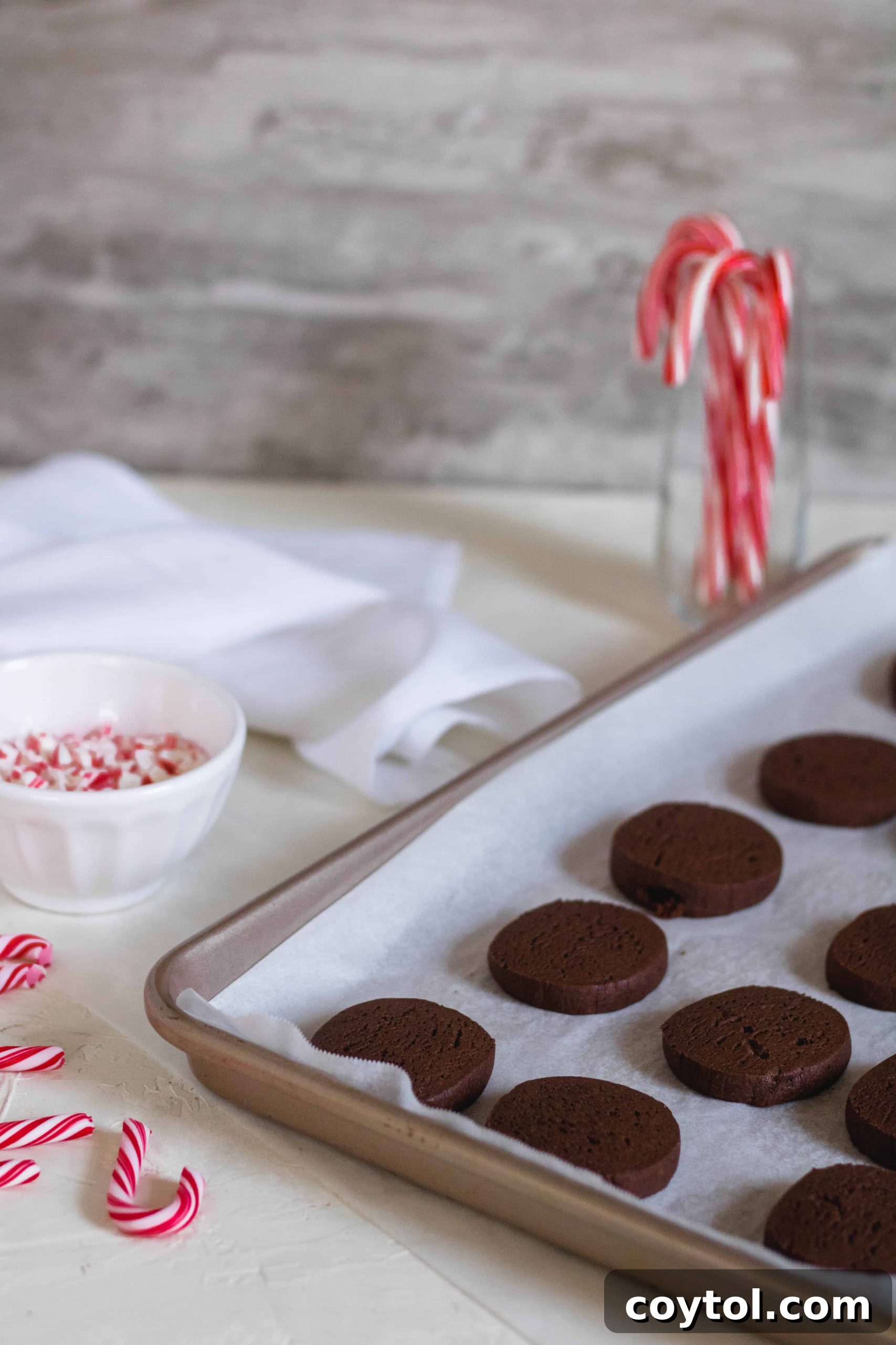 Baked chocolate peppermint crunch slice and bake cookies on a cooling rack