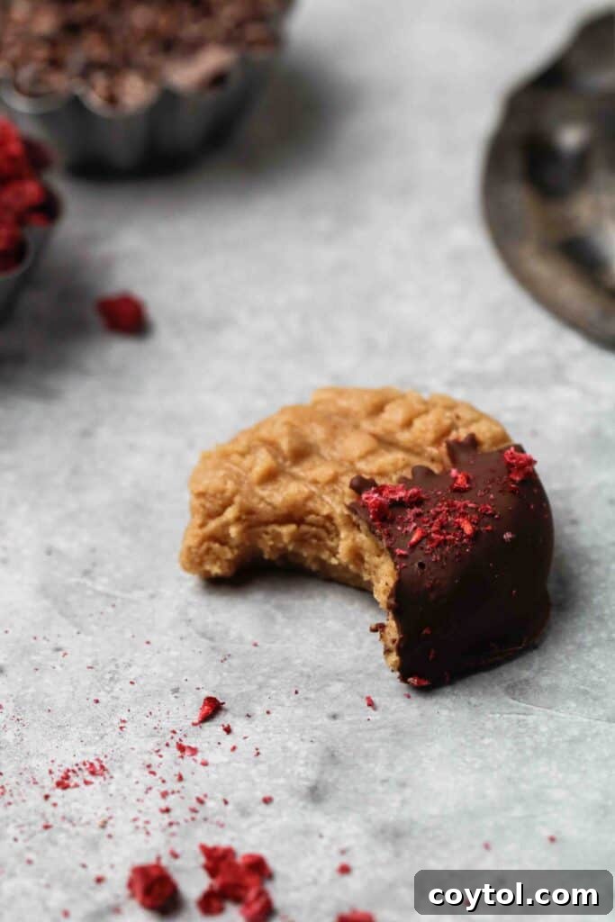 3-ingredient no-bake peanut butter cookies dipped in chocolate