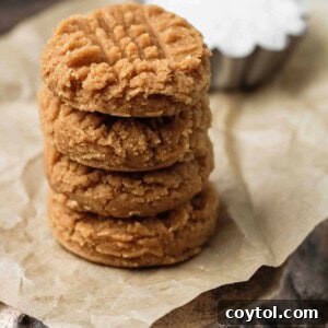 no bake peanut butter cookies