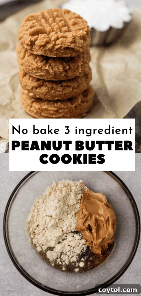 3 ingredient no bake peanut butter cookies
