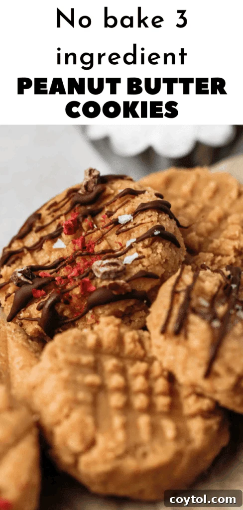 No-bake peanut butter cookies, a healthy and easy snack