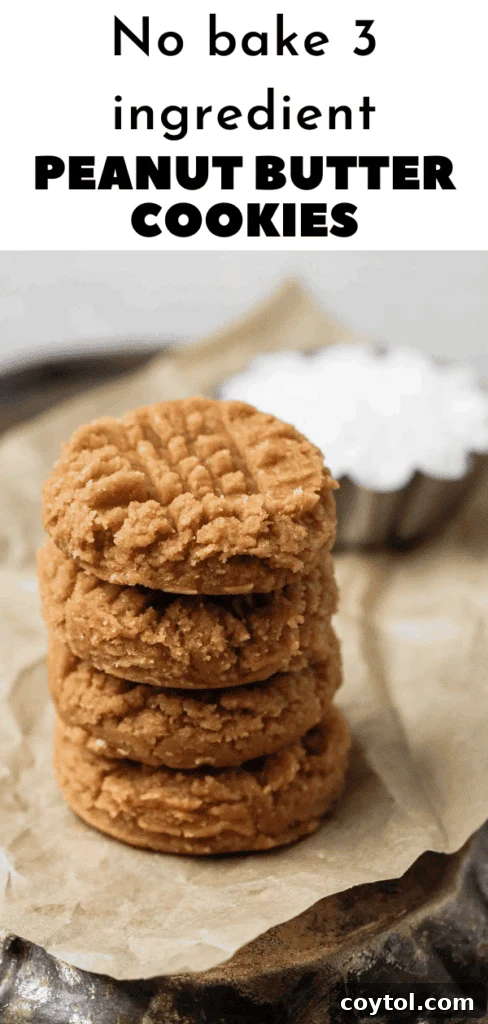 Delicious 3 ingredient no bake peanut butter cookies