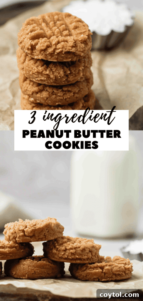 Simple 3 ingredient peanut butter cookies for a quick treat