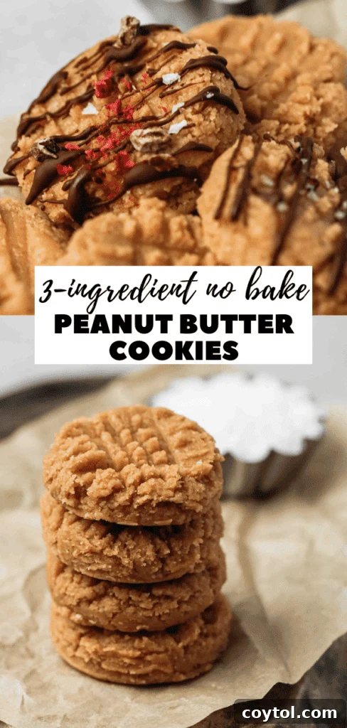 Vegan peanut butter cookies, no bake and dairy free