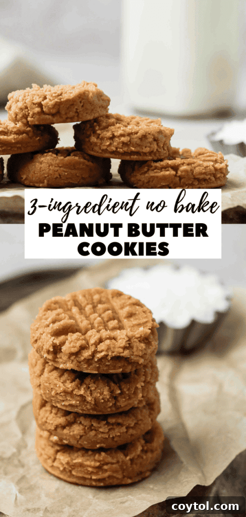 Gluten-free no bake peanut butter cookies, perfect for any diet
