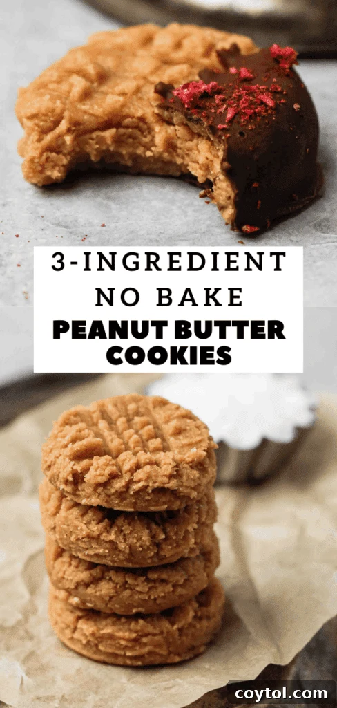 Easy and healthy gluten-free no bake peanut butter cookies