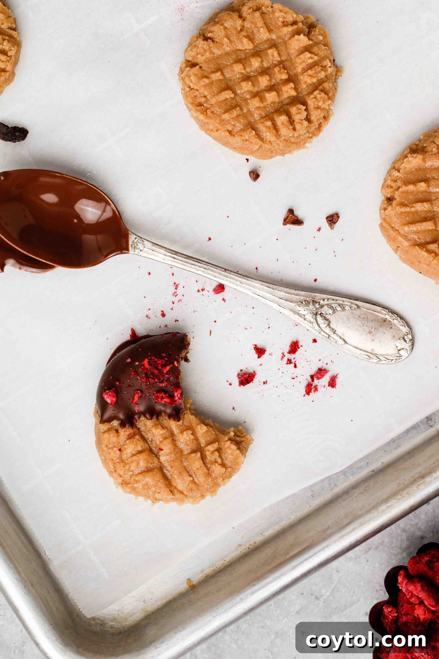 Overhead shot of peanut butter cookies before freezing