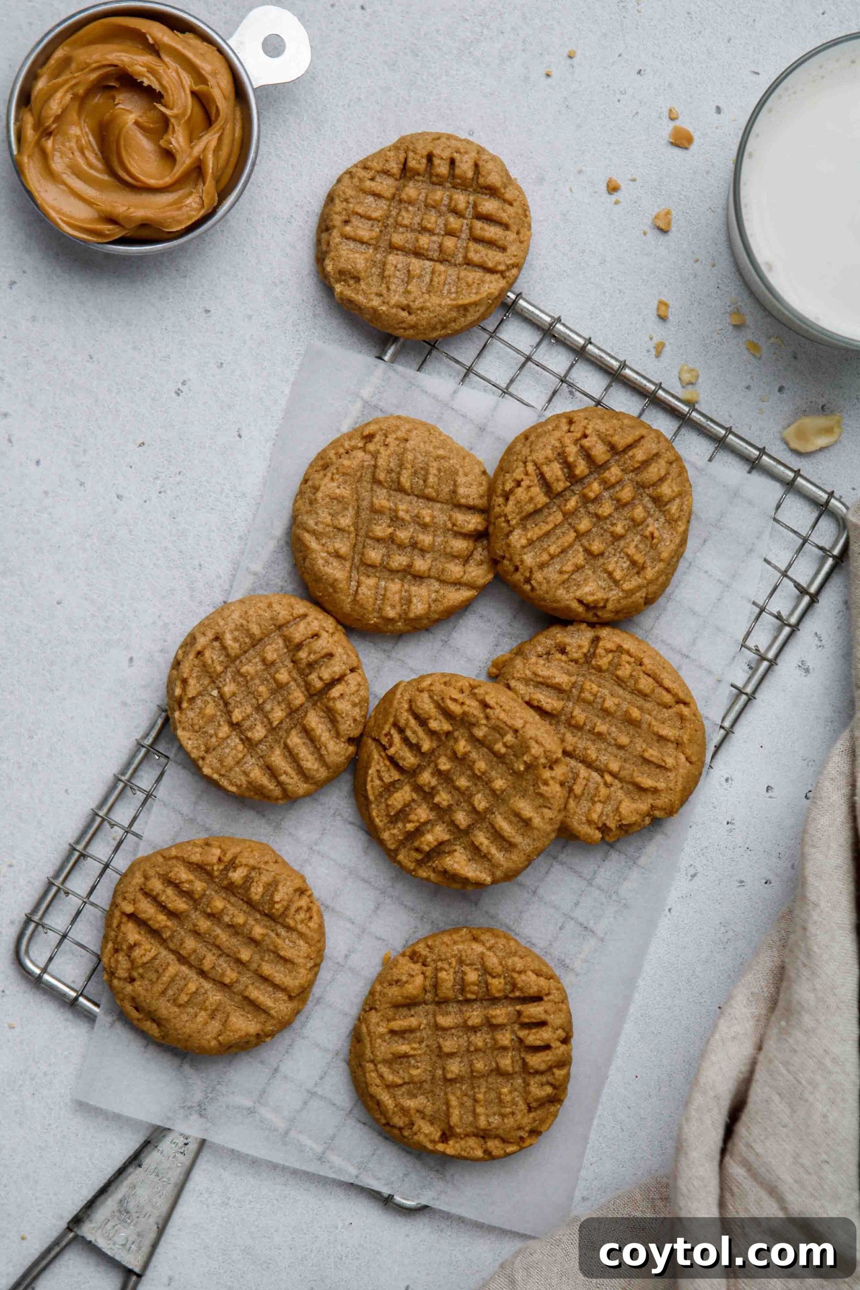 Flat lay photography of golden-brown 3 ingredient peanut butter cookies arranged neatly on a baking sheet, highlighting their classic criss-cross pattern.