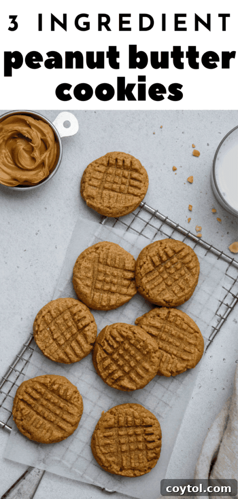 Pinterest pin for 3 ingredient peanut butter cookies with a text overlay
