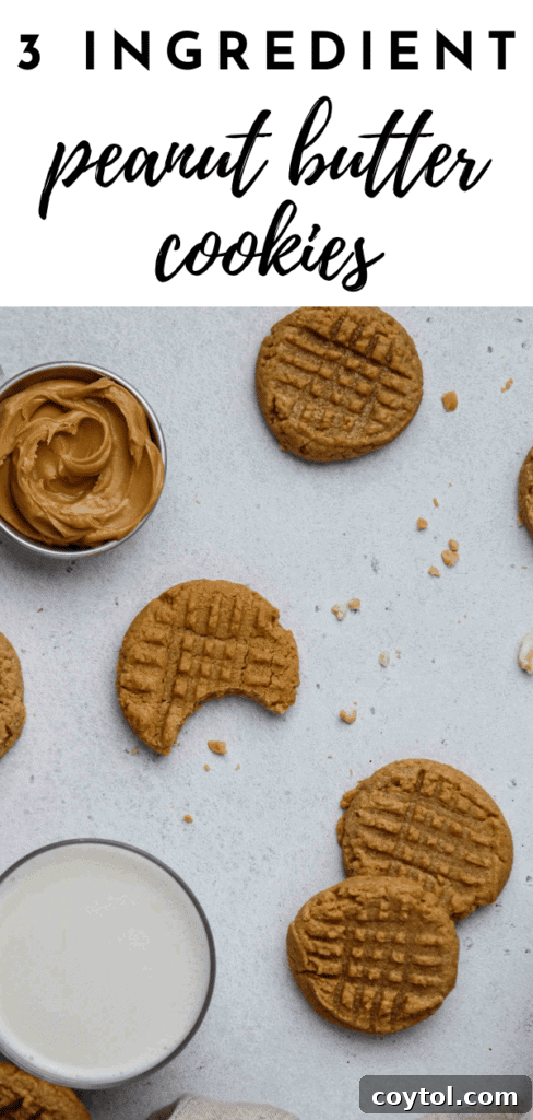 Pinterest pin showing a stack of golden 3 ingredient peanut butter cookies