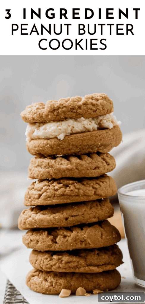 Pinterest pin for chewy peanut butter cookies with minimal ingredients
