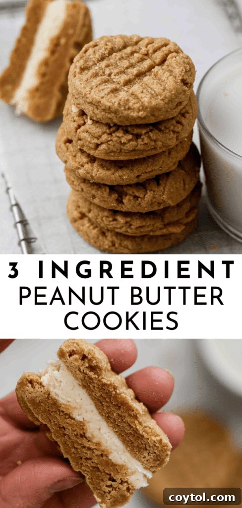 Close-up Pinterest pin of a soft and chewy peanut butter cookie