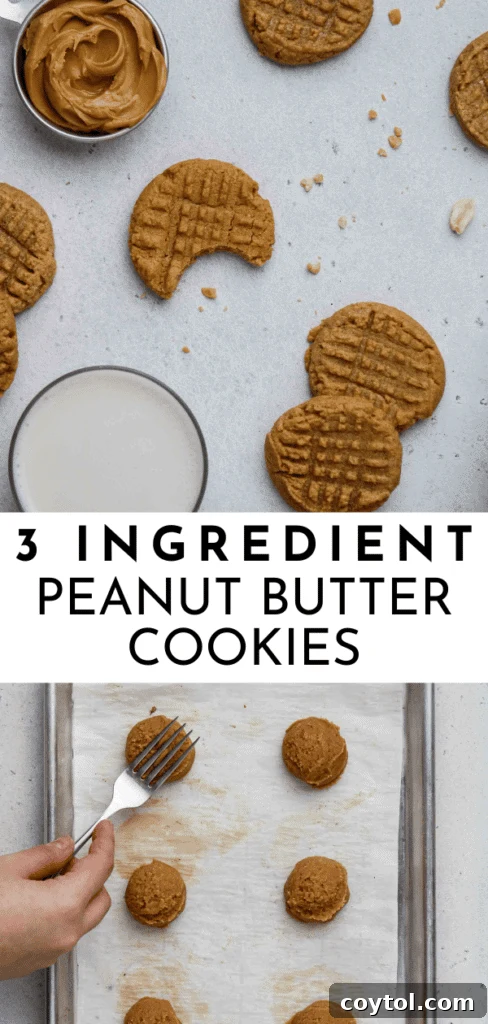 Pinterest pin featuring a plate of freshly baked peanut butter cookies