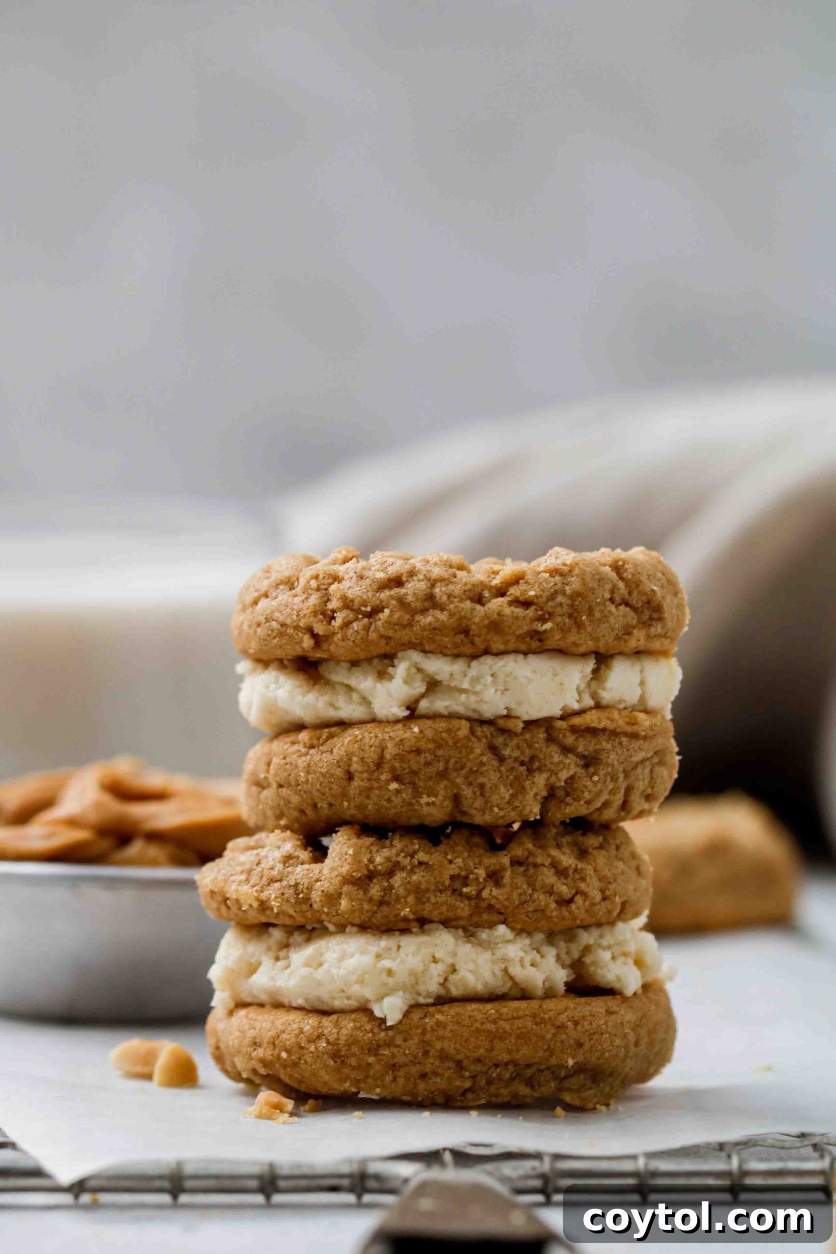 Close-up of a stuffed peanut butter cookie, showing its rich, dense texture and golden-brown edges.