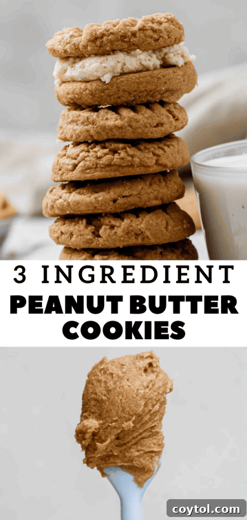 Pinterest pin showcasing the ease of making 3 ingredient peanut butter cookies