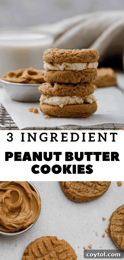 Pinterest pin for soft and sweet 3 ingredient peanut butter cookies
