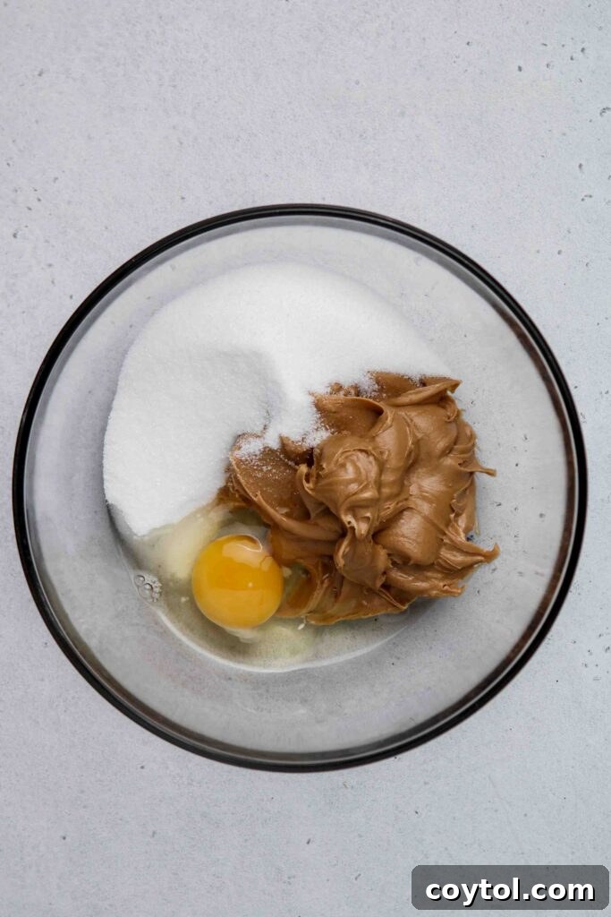 The three essential ingredients for peanut butter cookies: a jar of peanut butter, a bowl of sugar, and a single egg.