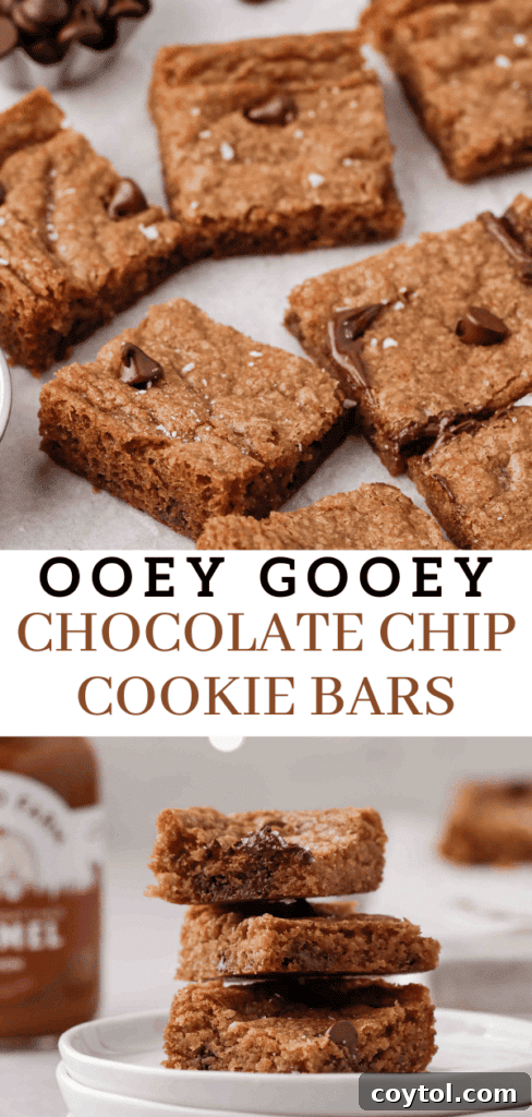 Sweet Tomatoes chocolate chip cookie bars pin graphic