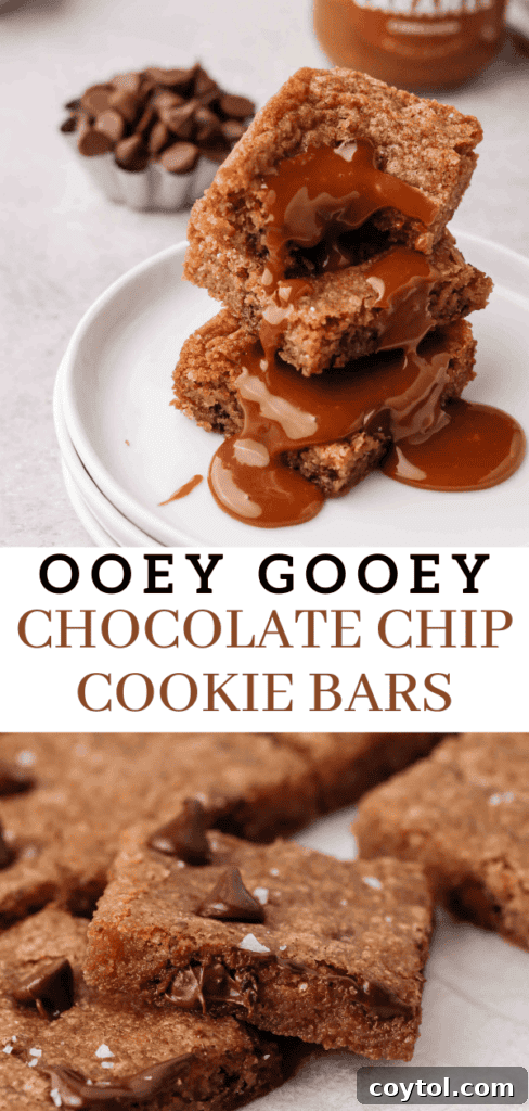 Chocolate chip cookie bars with caramel pin graphic