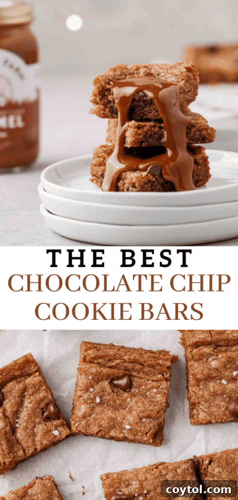 Close-up of chocolate chip cookie bars pin graphic