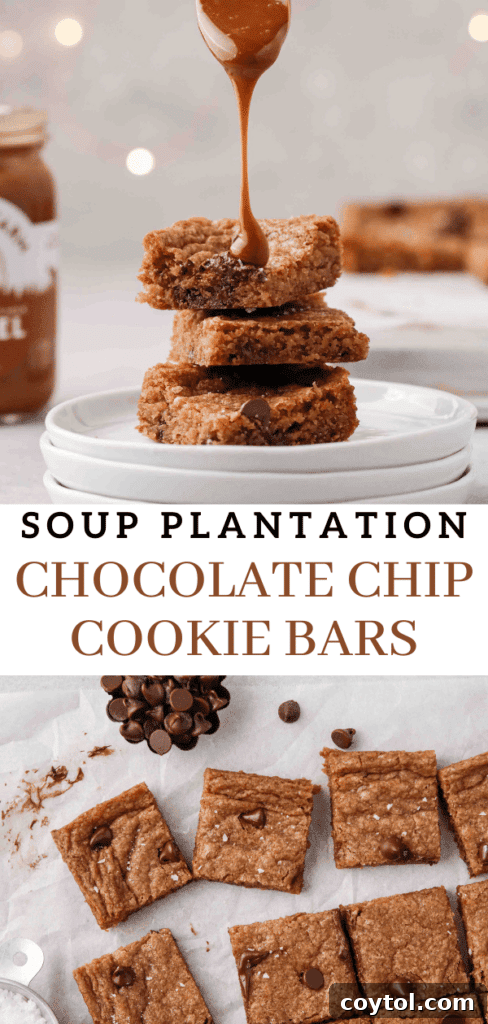 Warm chocolate chip cookie bars ready to serve pin graphic