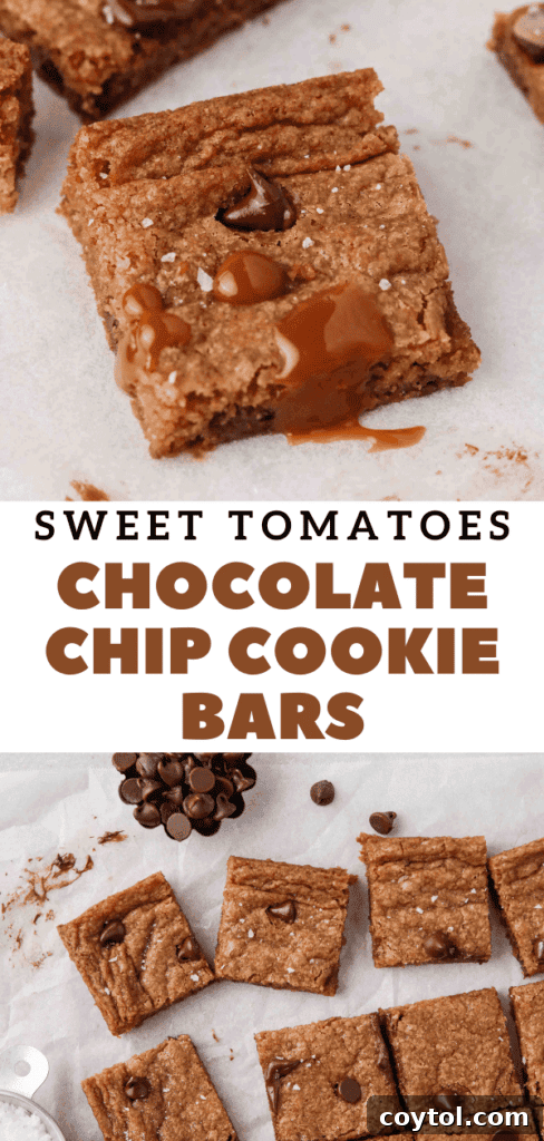 Best ever chocolate chip cookie bars pin graphic