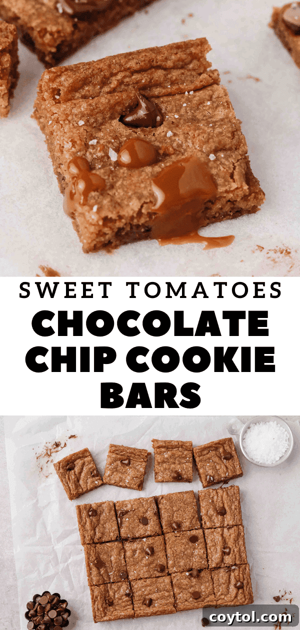 Easy one-pan chocolate chip cookie bars pin graphic