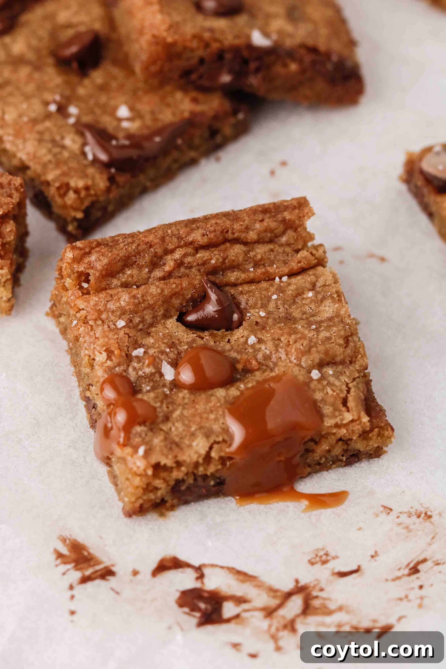 Close-up of a chocolate chip cookie bar topped with delicate sea salt flakes, enhancing its flavor