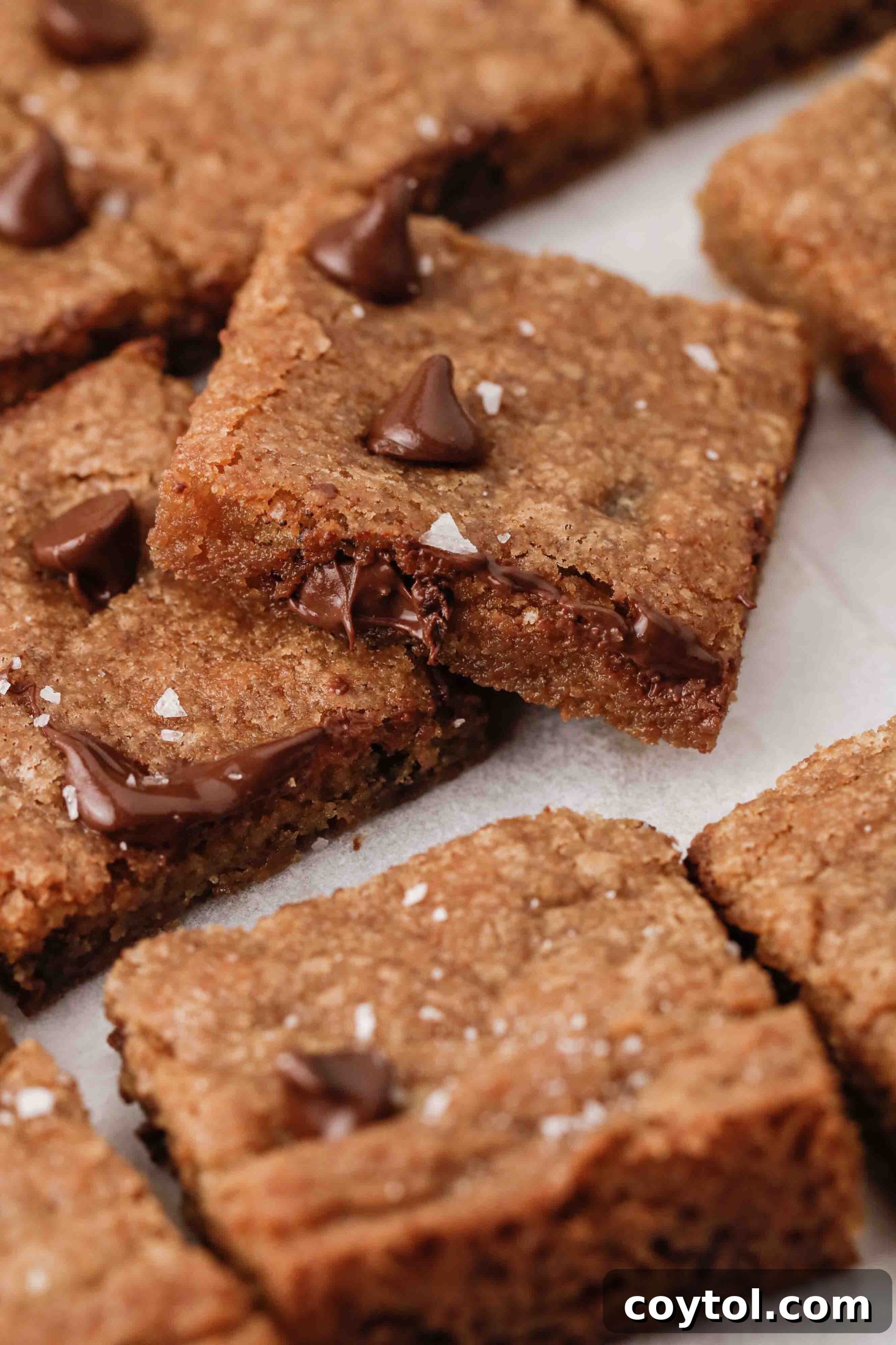 Perfectly golden-brown Soup Plantation chocolate chip cookie bars, showcasing a rich, gooey interior