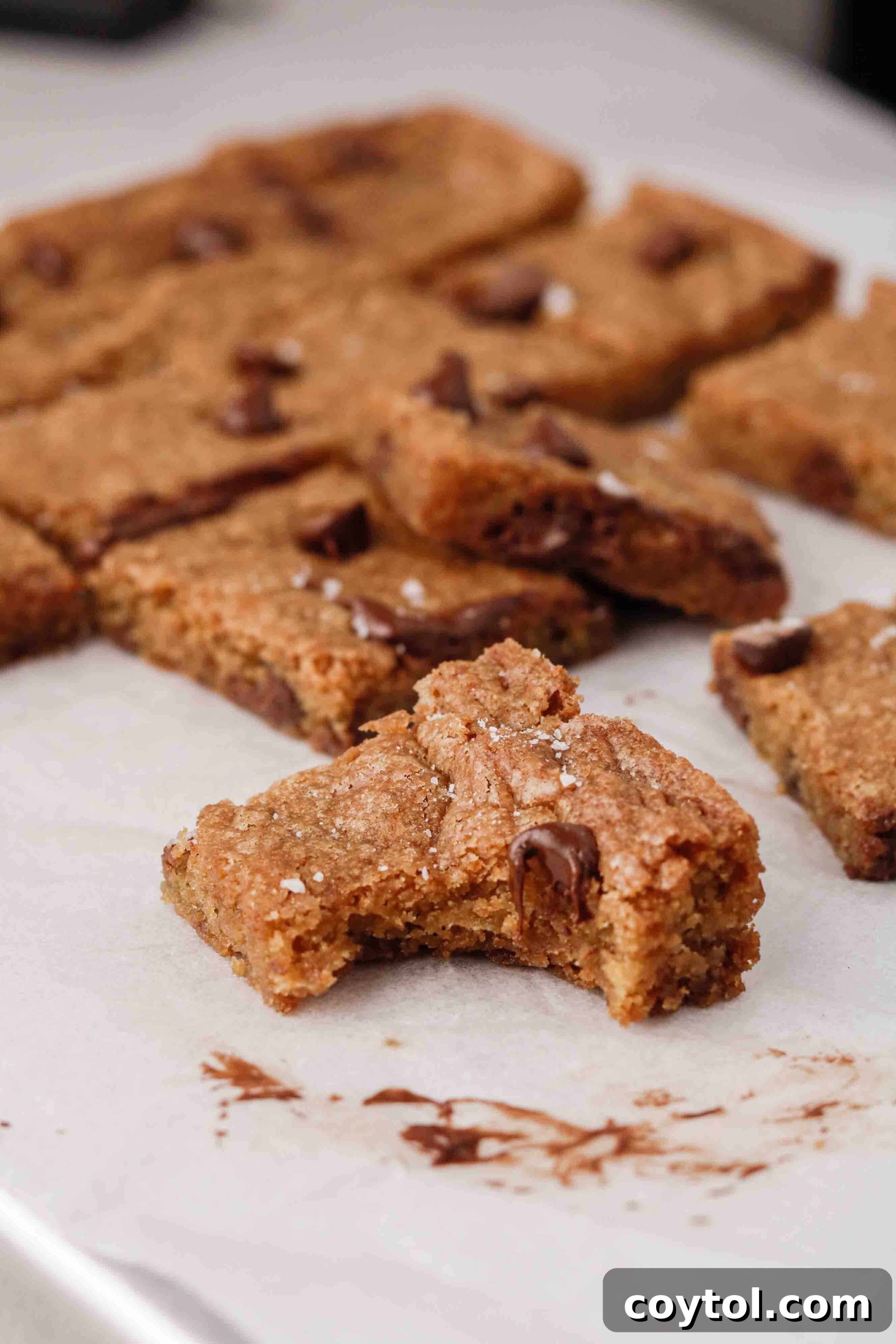 A vibrant display of the best chocolate chip cookie bars ever, cut into perfect squares for sharing