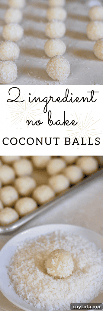 Pin for later: 2-ingredient no bake coconut balls, a simple and quick dessert.